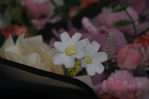 White and white and yellow flowers stand out as a striking focus among the flowers in handmade bouquets whose decorations are all fake or imitation.