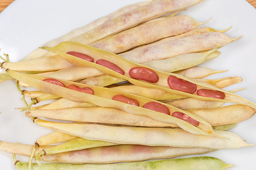 Two open pods of young kidney beans lie on the same whole pods, top view close-up in selective focus