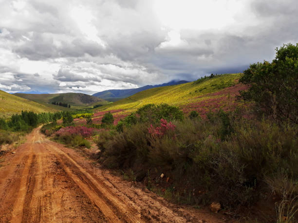 istock The road to nowhere 2035098208