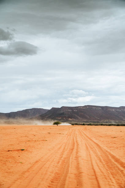 Vast hills rise under a clear blue sky over Socotra, showcasing distinctive geological formations and lush greenery.
