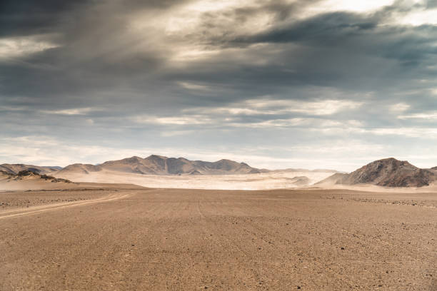 sand track on the namibian desert