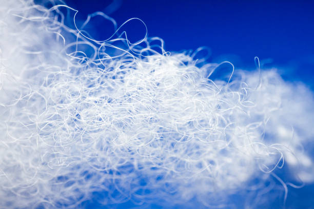 istock Extreme macro of polyester stable fiber on blue background 2035126981