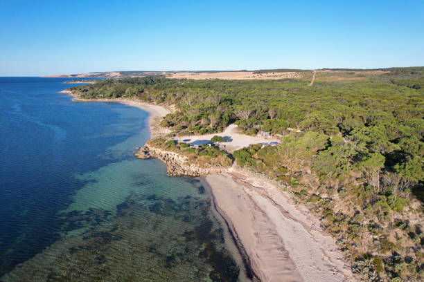 istock Kangaroo Island in Australia 2035128082