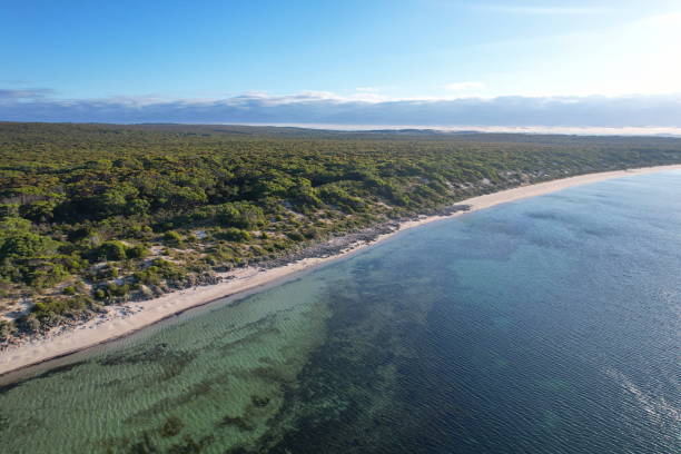 istock Kangaroo Island in Australia 2035131844