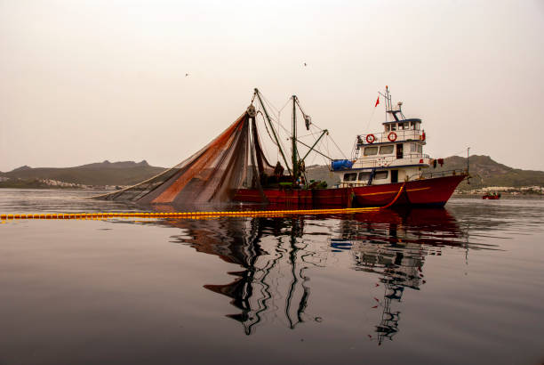 Fishermen working on the fishing boat