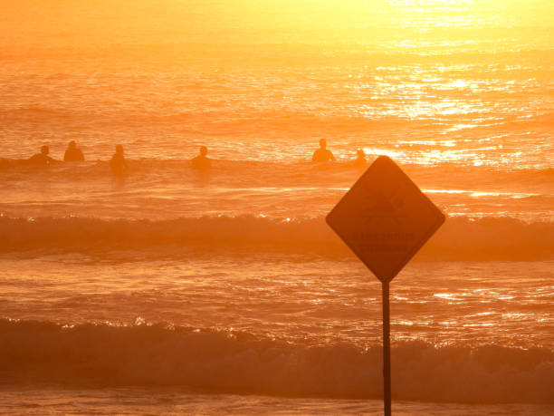Bondi Sunrise Surfing Surfers wait to catch a wave off Bondi Beach at sunrise. In the foreground is sign for swimmers, warning of dangerous currents. The dangerous currents at this southern end of the beach are close to shore. This image was taken from Bondi Beach, Sydney on a hot and cloudless morning on 23 February 2024. bondi beach sunrise stock pictures, royalty-free photos & images