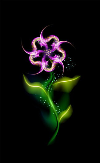 Modern glowing purple flower. Colorful ornamental floral violet element in black background. Beautiful illuminated ornaments with decorative luxury glow for your design in  illustration.