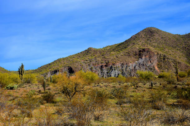 istock Salt River Recreation Area Arizona 2035243174