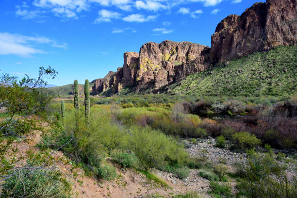 istock Salt River Recreation Area Arizona 2035246706