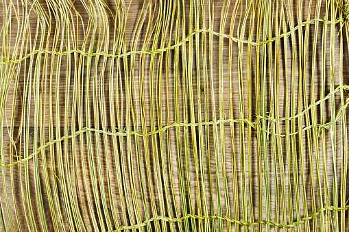 green esparto halfah on Wood Background Texture, Old grunge brown textured wooden background , The surface of the old brown wood