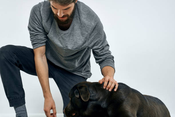 istock Man with dog training gray ring doing exercises pets light background. 2035264915