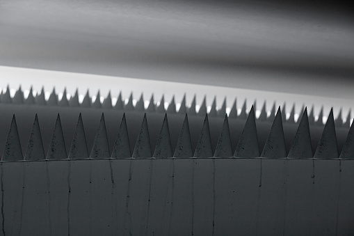 White sharp triangles stick out like shark teeth, and another row of teeth is blurred in the background.