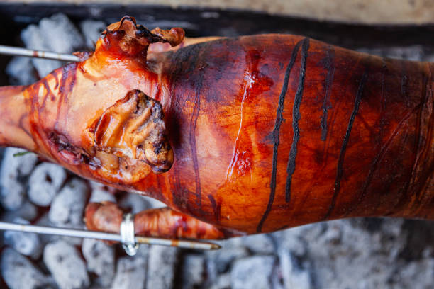 A whole pig roasting on a rotisserie spit outside, showcasing traditional barbecue techniques and grilled meat cooking. Ideal for culinary content or outdoor barbecue-themed illustrations.