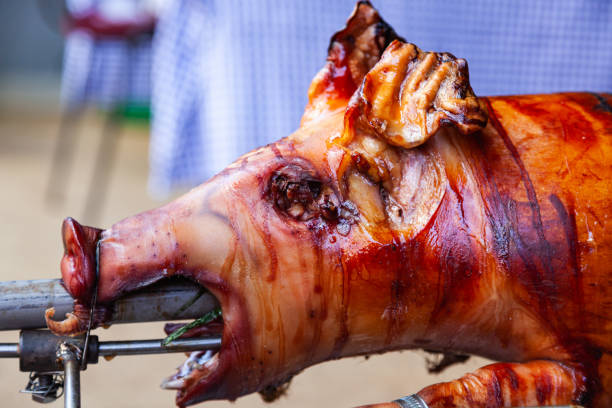 a young pig is roasted on a spit over coals. - spit roasted pork domestic pig roasted fotografías e imágenes de stock
