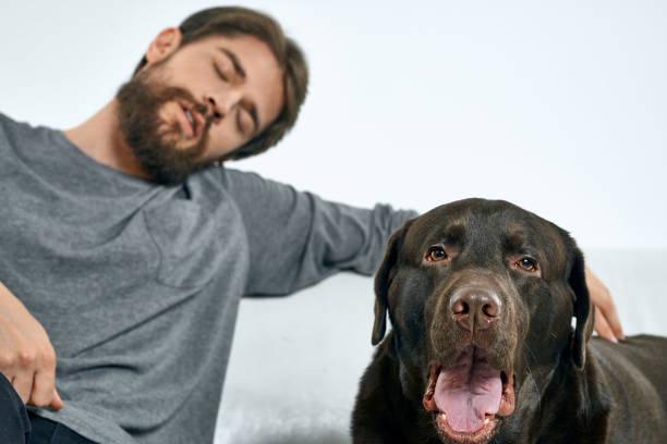 istock man with a black dog on a white sofa on a light background close-up cropped view pet human friend emotions fun 2035268238