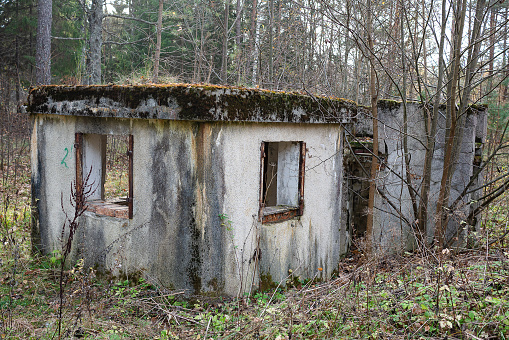 An old concrete house covered with moss in the forest.