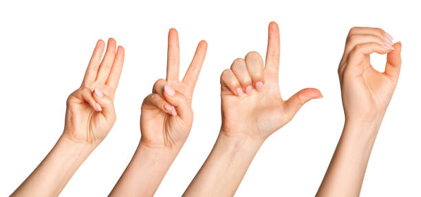 istock Set of female hands with fingers folded in different poses. 2035269343