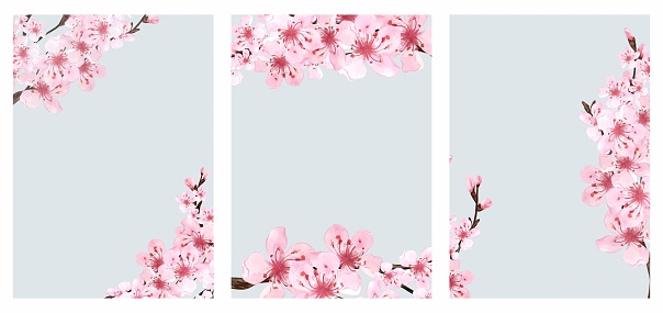 Set of flowers Template. Sakura flowers and branches. Background in watercolor style. Cherry blossom branches. Hanami festival. Hand drawn illustration.
