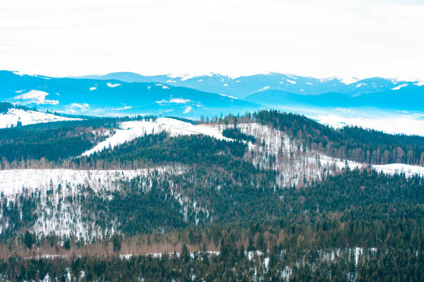 istock Winter Carpathian landscape in gray cloudy day. 2035331193