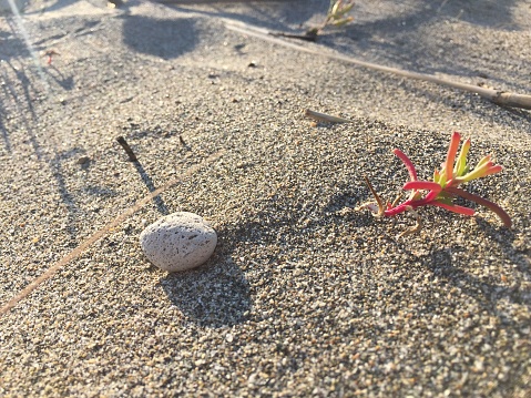 Plastic waste on the beautiful sandy beach