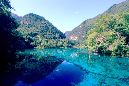 Jiuzhaigou Valley, Sichuan Province, China - July 30 2013: Inside Jiuzhaigou Valley, lies a picturesque landscape of lush, flourishing green mountains and dense forests. Amidst this verdant scenery flow crystalline blue waters, creating a striking contrast against the vibrant greenery.