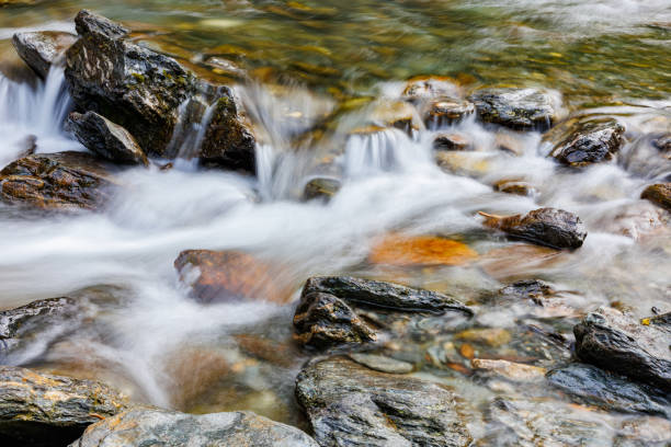 mountain river is vividly portrayed in this photograph, employing a long exposure to showcase the flowing water, its liquid grace reflecting the untouched and serene nature of the landscape.