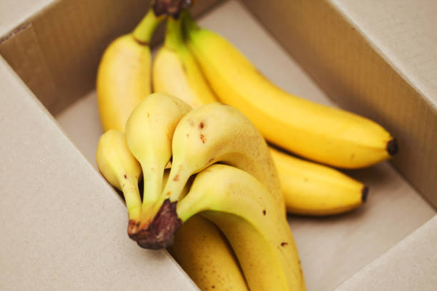 Fruits import and export. Food delivery.