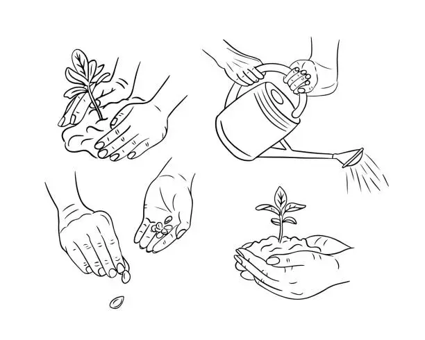 Vector illustration of Black sketch set of hands growing plants