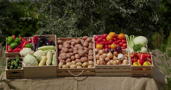 A stall with various vegetables at a farmers' market.