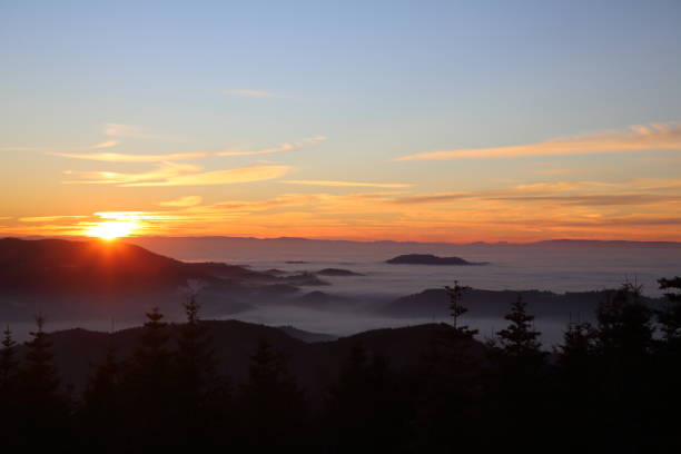 istock Sunset in the Black Forest with fog 2035388137