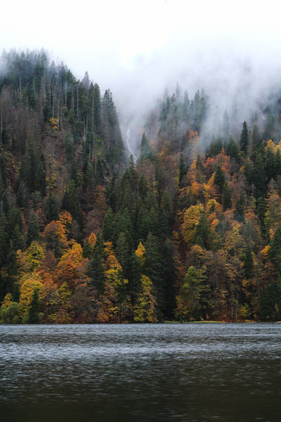 istock Waterfall in the Black Forest in autumn 2035391918