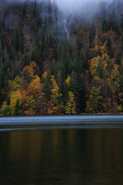 istock Waterfall in the Black Forest in autumn 2035391919
