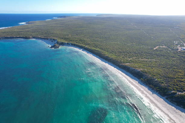 istock Kangaroo Island in Australia 2035394138