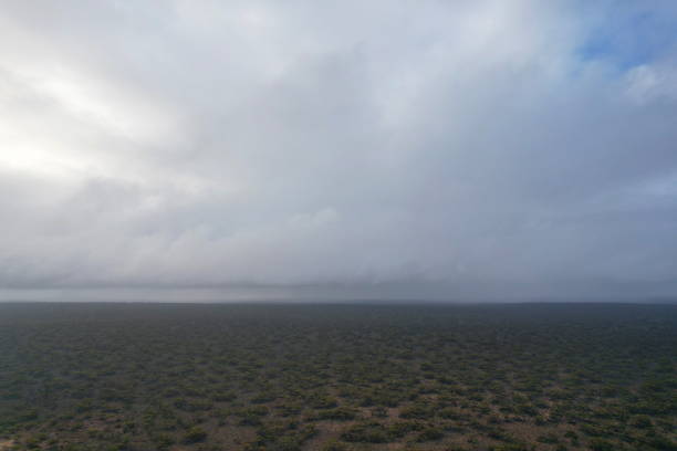 Rainfall in remote and flat Nullarbor Plain