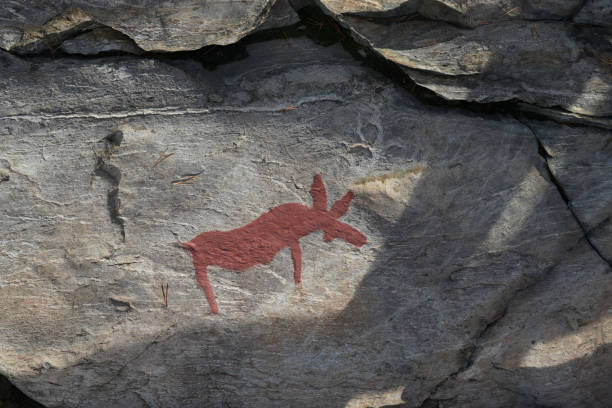 istock Ancient rock paintings of an elk, Sweden 2035401771