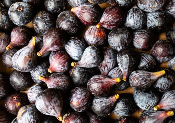 Box full of ripe delicious black figs stock photo