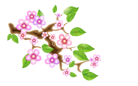 Branch sakura,  illustration cherry blossom, with flowers in anime style. Unorthodox East Asian decoration tradition in partially animated stylistic solution. EPS 10.