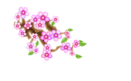Attribute of hanami, branch sakura,  illustration. Cherry blossom, with flowers in anime style. Unorthodox East Asian decoration tradition in partially animated stylistic solution. EPS 10.
