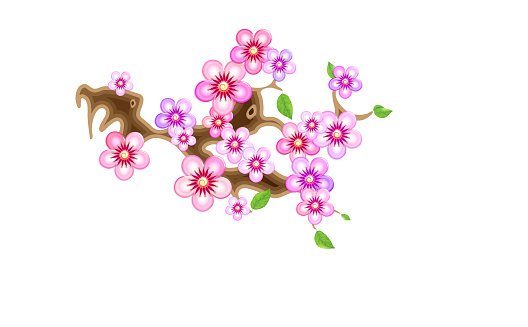 Attribute of hanami, branch sakura,  illustration. Cherry blossom, with flowers in anime style. Unorthodox East Asian decoration tradition in partially animated stylistic solution. EPS 10.