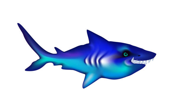 istock Shark with big teeth. Cartoon blue funny isolated character. Ocean and Sea for design, web, ui, advertising food sea. 2035450771