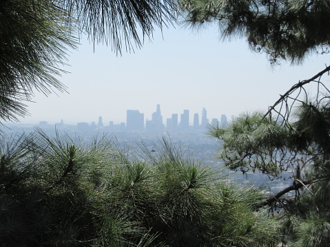 Los Angeles downtown cityscape from the hilly suburban area