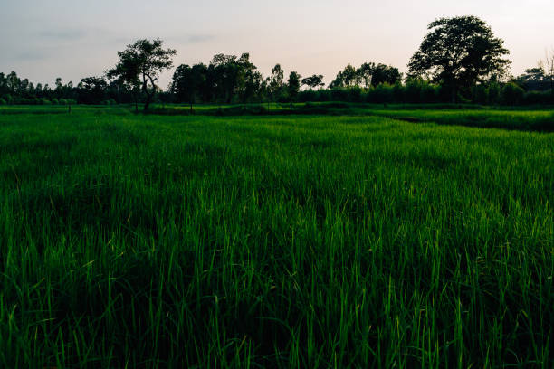 Very Beautiful nature in asia