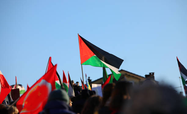many black white and green palestine flags with red triangle waving during protest demonstration in city with people