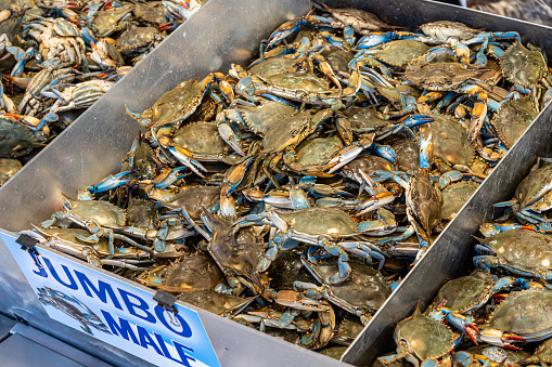Pile of fresh blue crab in fish market at the Wharf, Washington DC.