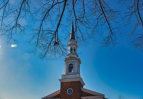 A church steeple behind hanging tree boughs