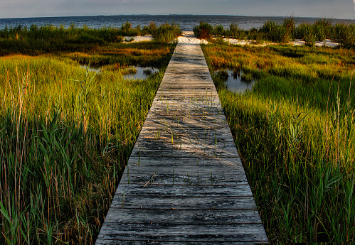 Walkway over wetlands to the beach