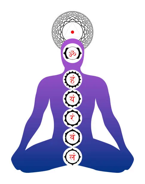 Vector illustration of Position of the main chakras in the silhouette of a body in yoga position