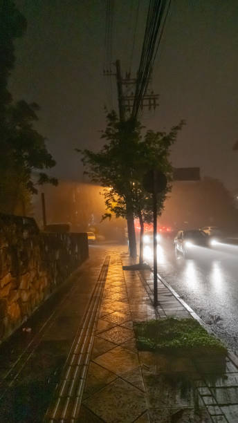 istock Gramado city center at night 2035693346