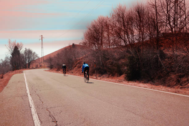 A panoramic road in the mountain vegetation, Mottarone - Piedmont - Italy.