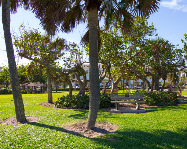 나무가 있는 작은 공원, 베로 비치, 플로리다 - palmetto 뉴스 사진 이미지